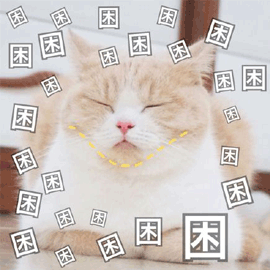 萌宠喵星人困猫搞怪可爱gif动图