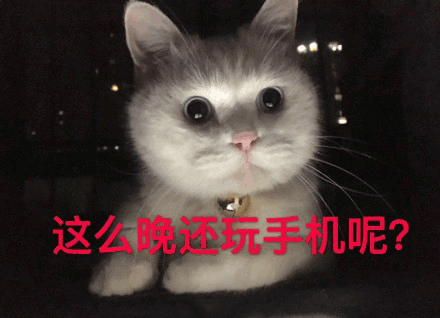 沙雕猫