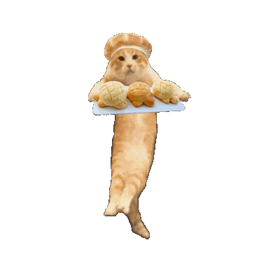 猫咪 可爱 沙雕 搞怪