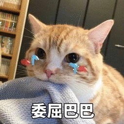 猫猫委屈流泪表情图片图片