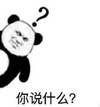 暴漫 熊猫头 你说什么 搞笑 逗 沙雕
