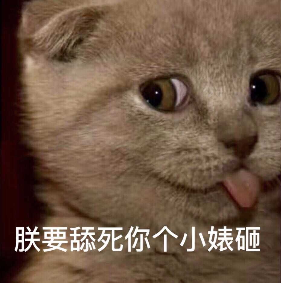 猫咪舔表情包图片