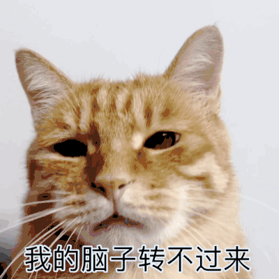 猫咪无奈的表情包图片图片