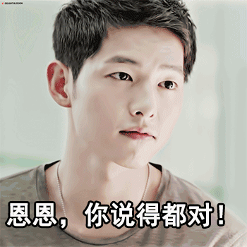 太阳的后裔 宋仲基 你说的都对