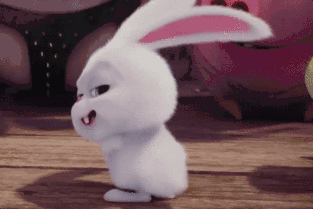 狗狗打脸图片_狗狗打脸动态图_狗狗打脸表情包gif动图下载_soogif