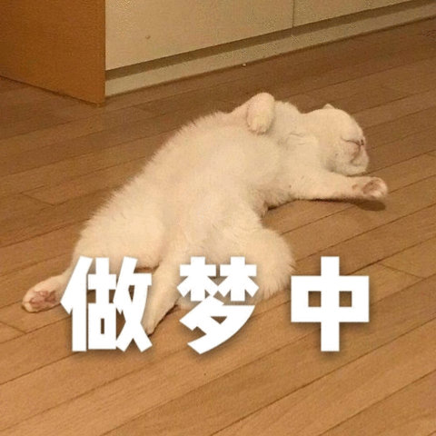 萌宠 猫星人 做梦中 睡觉 呆萌 可爱