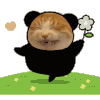 猫咪 搞怪 沙雕 逗