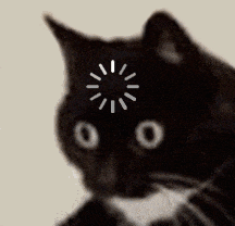 萌宠 猫咪 思考 呆萌 可爱