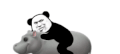 熊猫头 沙雕 骑小动物 搞笑