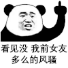 暴漫 熊猫头 看到没 搞怪 逗