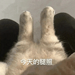 萌寵 貓咪 今天的腿照 呆萌 可愛