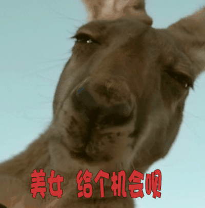 楼上的给个机会图片_楼上的给个机会动态图_楼上的给个机会表情包gif