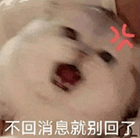 萌宠