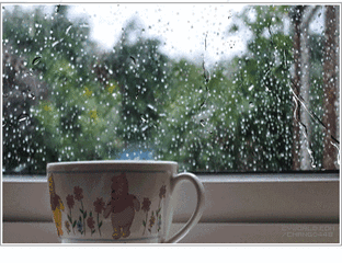 窗玻璃gif水杯gif下雨gif雨点gif