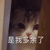 萌宠 猫星人 是我多余了 无奈 搞怪 呆萌