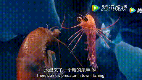 动漫皮皮虾打架大海gif动图