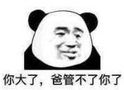 暴漫 熊猫头 你大爸管不了你了 搞笑 逗 沙雕