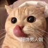 萌宠 猫星人 好馋男人啊 无奈 呆萌 可爱