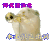 本老鼠已出洞 仓鼠 可爱 搞怪
