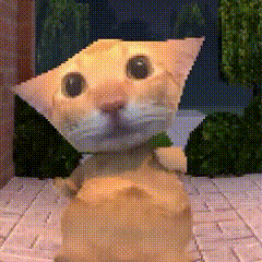 阿米嘎蒂朵 猫咪 喵喵 可爱 搞怪