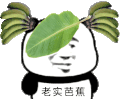 暴漫 熊猫头 老实巴交 搞笑 逗