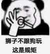 暴漫 文字表情包 狮子不跟狗玩 这是规矩 搞笑 逗 沙雕